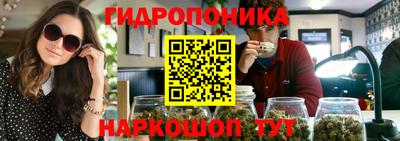 Альфа ПВП Ставрополь