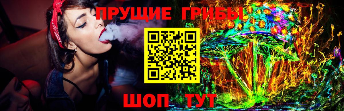 Галлюциногенные грибы Psilocybe  Вход с VPN  Нижнекамск 